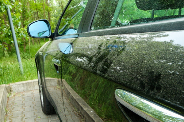 車にこびりついた花粉の落とし方は？愛車を傷つけずに対策する方法も解説