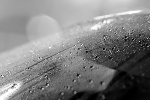 洗車は雨の日でもすべき？意外と知らないメリットとデメリットを詳しく解説